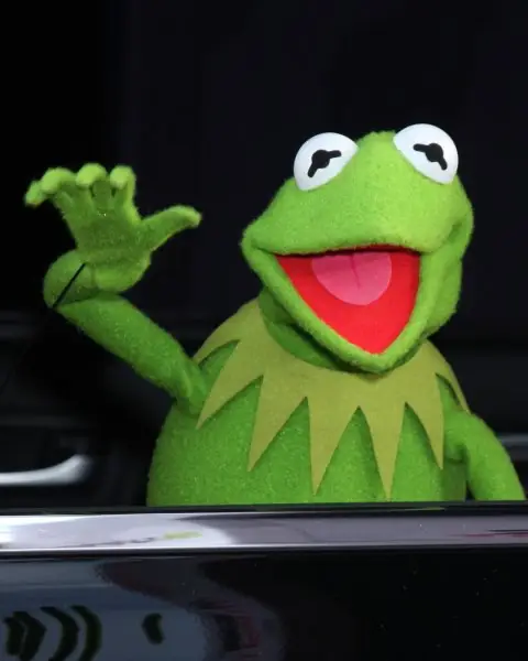 kermit the frog